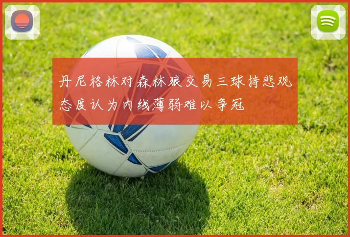 丹尼格林对森林狼交易三球持悲观态度认为内线薄弱难以争冠