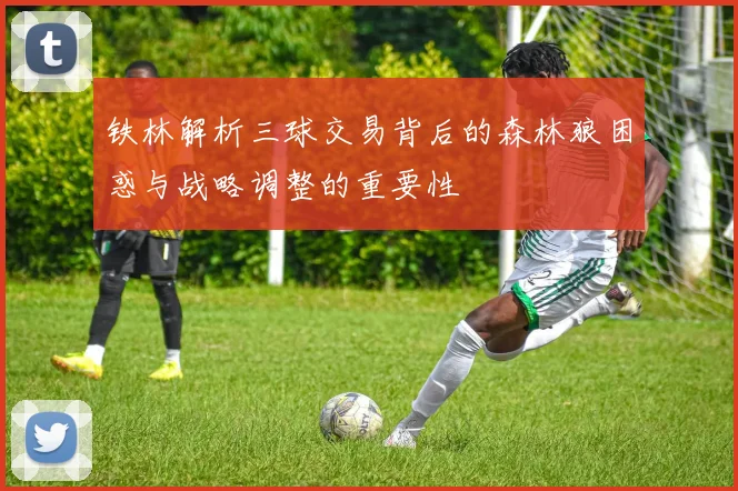 铁林解析三球交易背后的森林狼困惑与战略调整的重要性